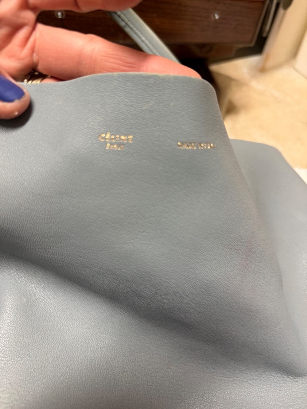 CELINE Cabas bag Horizontal - Picture 11 of 13